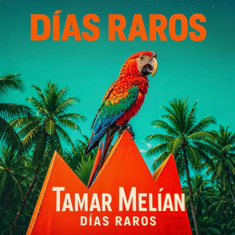 Días Raros: un corazón dividido en doce líneas y ninguna coartada 3 Portada oficial de Días raros, canción de Tamar Melián